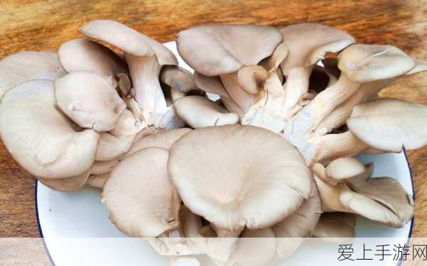 王牌竞速CG预告震撼发布，速度与激情的巅峰对决，王牌速度节等你来战！