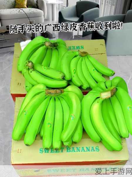 龙之谷 2 暗灵之玉的神秘宝藏，究竟能开出何种惊喜？