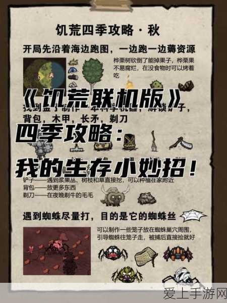摩尔庄园手游，牧场光速升级秘籍大公开