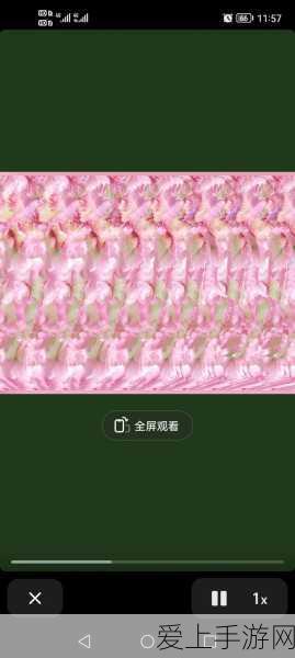 光遇粽子斗篷礼包深度解析，性价比与兑换攻略大公开