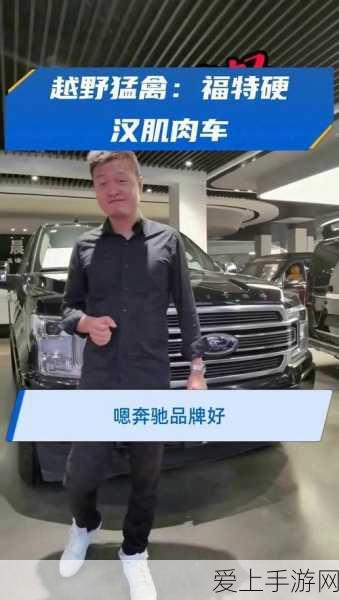 王者荣耀，海岛乐园皮肤领取全攻略，揭秘领取条件与隐藏福利