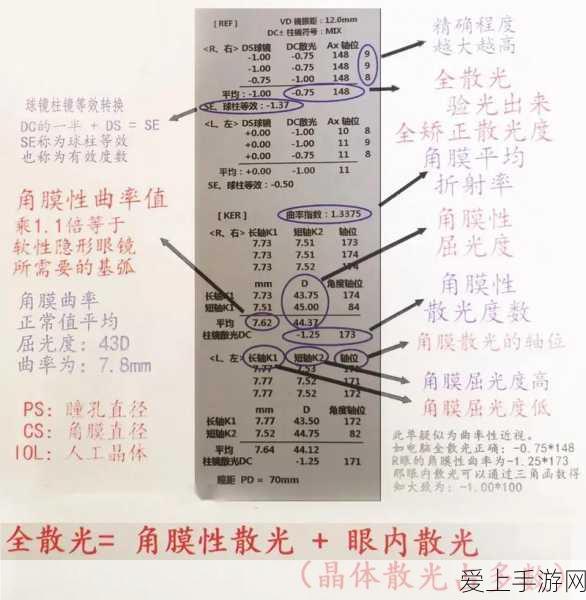 手游新宠，大角牛王——创造与魔法中的顶级战斗伙伴揭秘