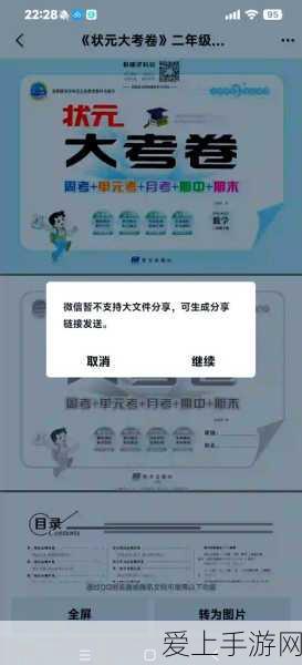 王者荣耀皮肤索要揭秘，好友度不足背后的隐藏规则与攻略