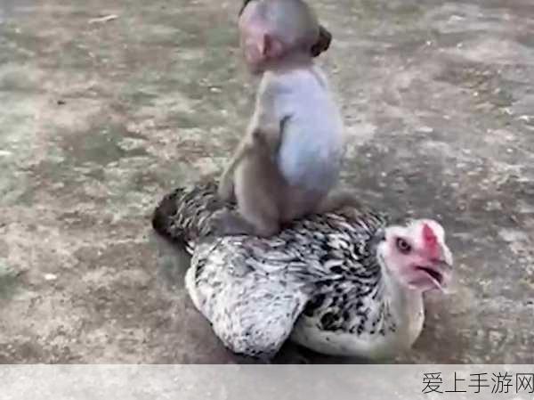 二之国交错世界，全面解析装备培养策略，打造顶级战斗力！
