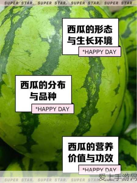 旅行青蛙新手攻略，掌握这些技巧，让你的蛙儿子畅游无忧！