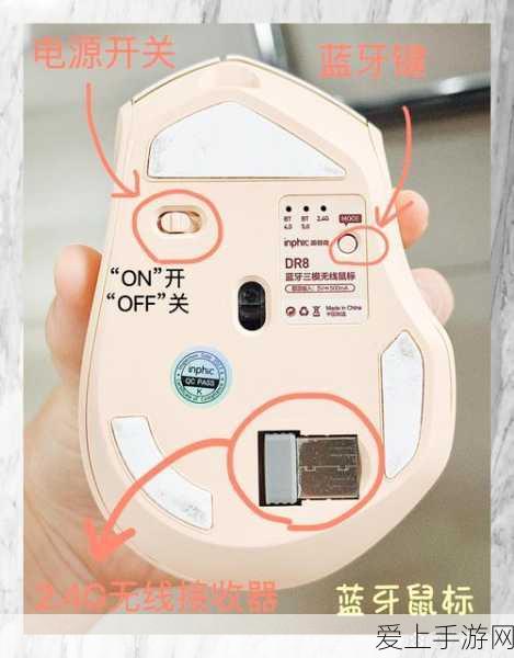 原神夜兰角色深度剖析，生命沙与充能沙，哪个才是她的终极之选？