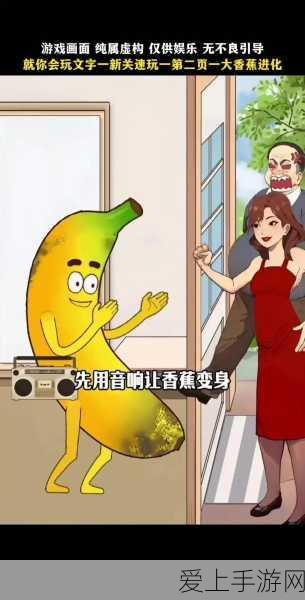 深度解析，炉石传说 HDT 实用指南