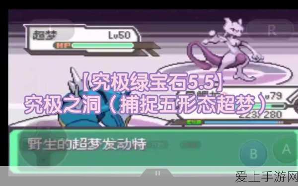 塞尔达传说深度攻略，揭秘格鲁德圣域智慧试炼全流程