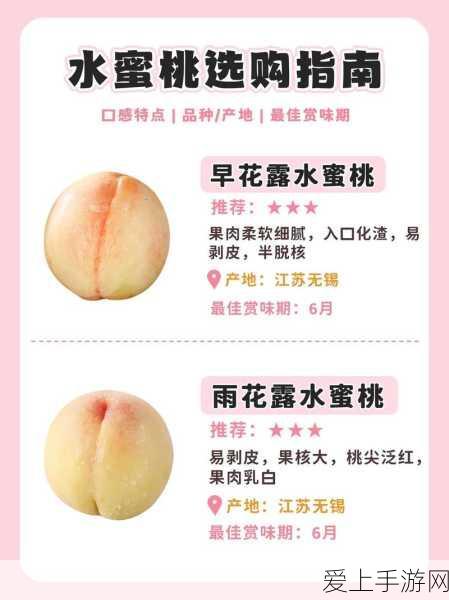 手游行业数智化转型新风向，矩网科技与一线数智联合举办高端分享会