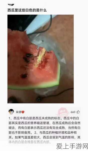 元气骑士宠物大比拼，谁才是你的最佳战斗伙伴？