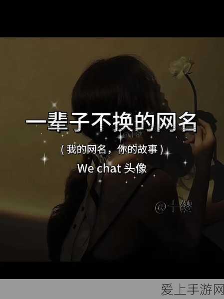 手游硬件新升级，揭秘电容器组放电装置在手游设备中的设置奥秘