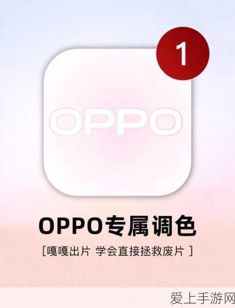 华为nova flip商标曝光，或将推出全新折叠屏手游利器？