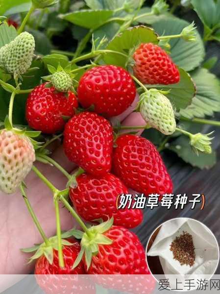天涯明月刀全职业深度解析与攻略指南