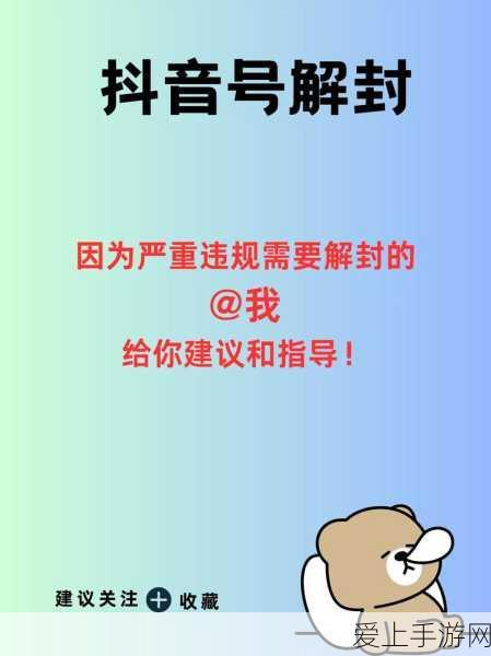 决战平安京，揭秘幕后制作工作室与精彩赛事细节
