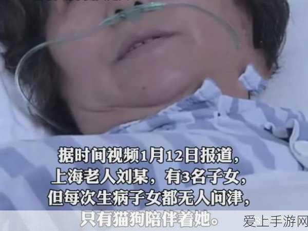 幽灵列车大蛇通关秘籍，勇闯第二关的必胜之道