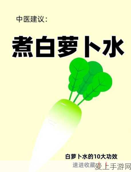 崩坏星穹铁道，花火星魂深度剖析，重塑辅助角色巅峰地位