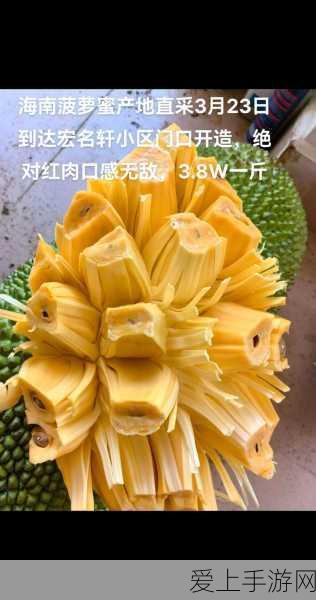 手游网络大挑战，2M带宽下，电影与游戏能否流畅共舞？