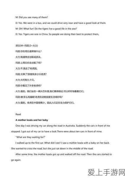 独家揭秘，原神夏沃蕾专属武器炽烈炎心搭配攻略与实战深度剖析