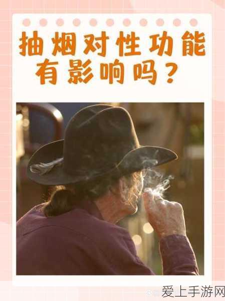 摩尔庄园服务员雇佣大揭秘，提升庄园效率与乐趣的必备攻略