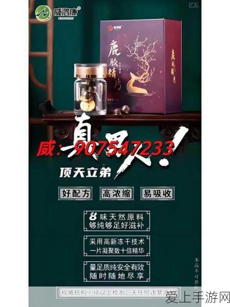 王者荣耀传说皮肤全揭秘，数量、特色及获取途径一网打尽