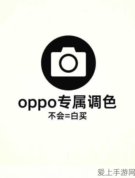 背包乱斗，游侠光剑流派终极攻略，解锁竞技场巅峰对决新篇章