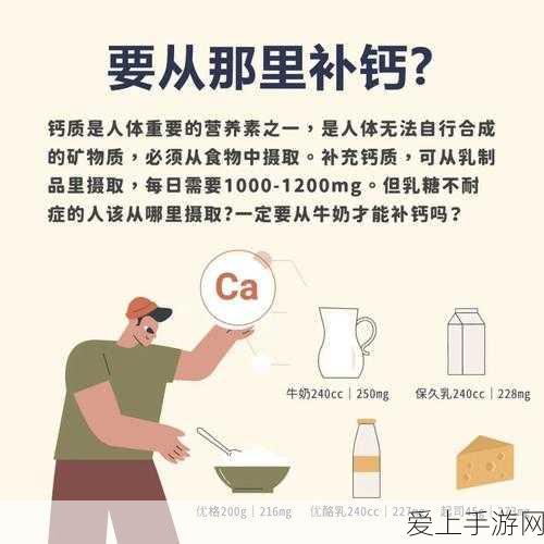 哈利波特魔法觉醒，探秘圣诞帽的神奇获取之道