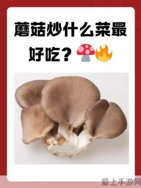 三国争霸，解锁放开那三国2蜀国阵容最强站位策略！