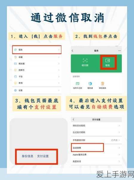 烟雨江湖深度攻略，易筋经修炼秘籍与武学全揭秘
