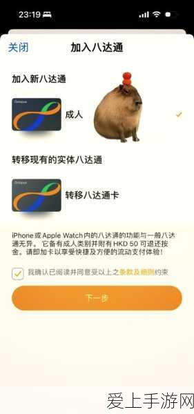 王者荣耀S24赛季全能辅助刘邦，精准把控战场，引领团队胜利节奏！