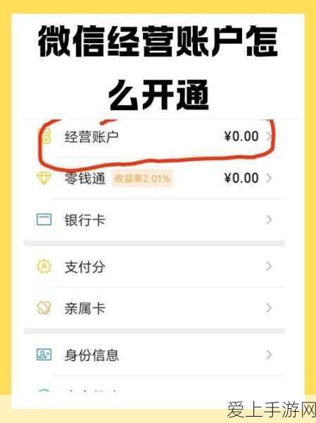 大话西游2免费版，五开高效挂机攻略，解锁无限升级新路径