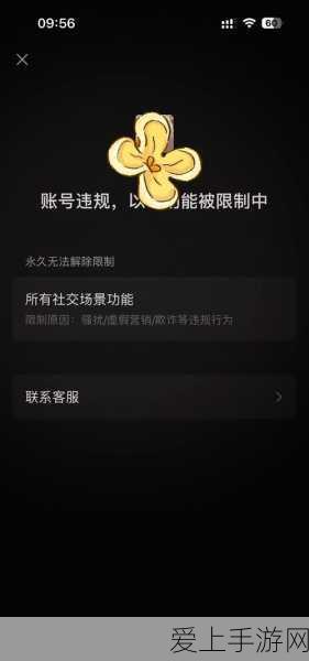王者荣耀资源包升级失败大揭秘，原因分析与解决方案