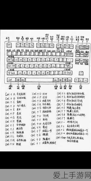 倩女幽魂手游，揭秘羊咩咩的最强技能搭配，打造无敌萌宠！