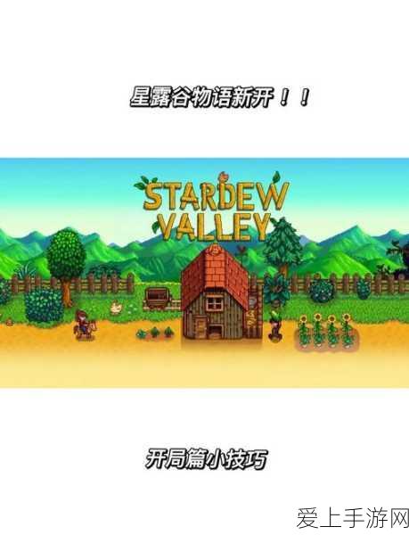 阿拉德之怒深度攻略，解锁宝珠镶嵌的奥秘与技巧
