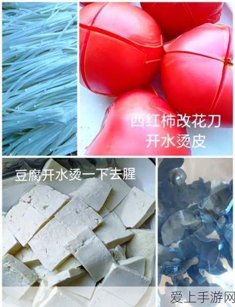 我的世界鞘翅飞行技巧大揭秘，翱翔天际的终极指南