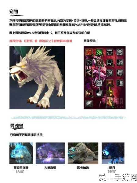 命运方舟财富秘籍，高效出金策略与金币交易全攻略