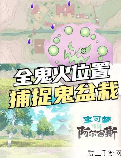 海岛奇兵智谋对决，六阶防御阵型深度解析与实战攻略
