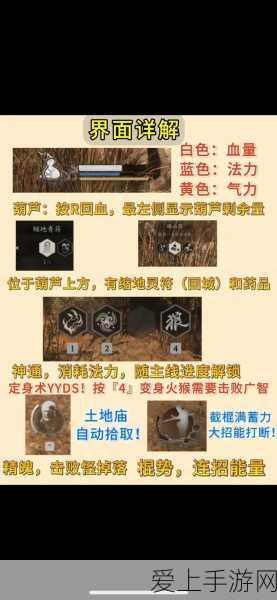梦幻西游深度解析，奇经八脉系统全攻略，浴血豪侠加点秘籍大公开