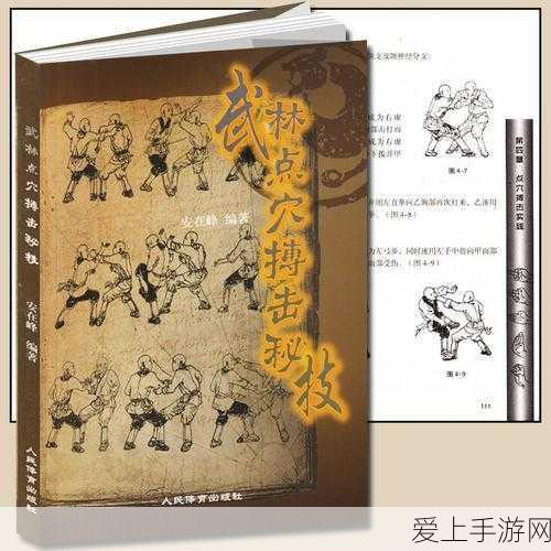 王者荣耀沈梦溪高阶攻略，掌握这些意识，助你技术飞跃