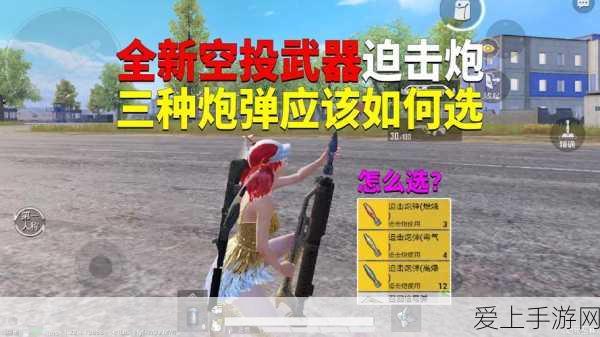 甄姬与小勇士，奇幻冒险赛高，解锁隐藏关卡秘籍大公开！