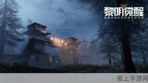原神探索揭秘，错位的海螺隐藏位置全攻略