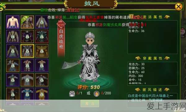 仙境传说RO新世代，台服人气服务器火爆揭秘，独家赛事细节曝光