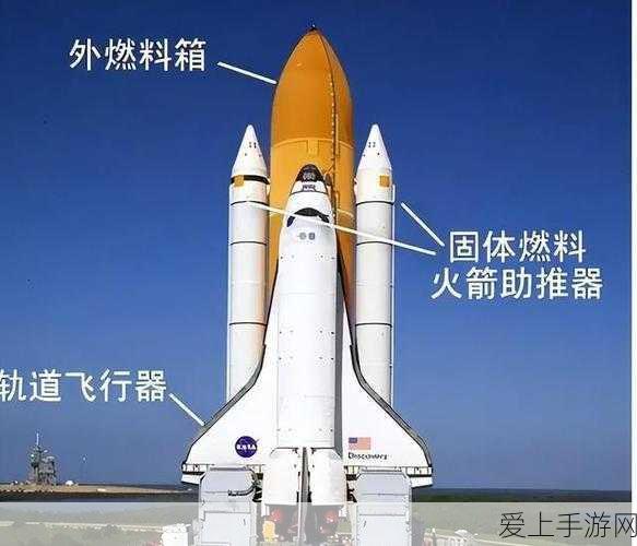 原神探索揭秘，错位的海螺隐藏位置全攻略