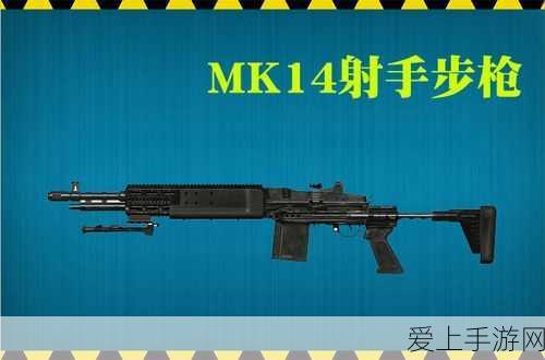 海岛奇兵策略大揭秘，特遣队发展全攻略与顶尖赛事详解