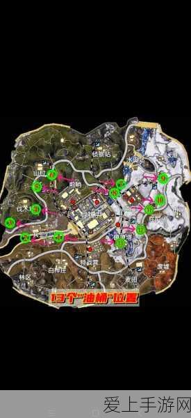 无主之地 2 魔女单刷秘籍，技能加点全攻略