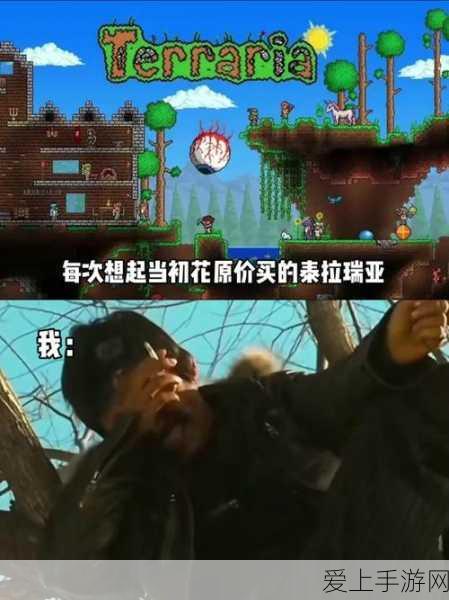 炉石传说，奥秘法师登顶攻略，揭秘高胜率战术布局