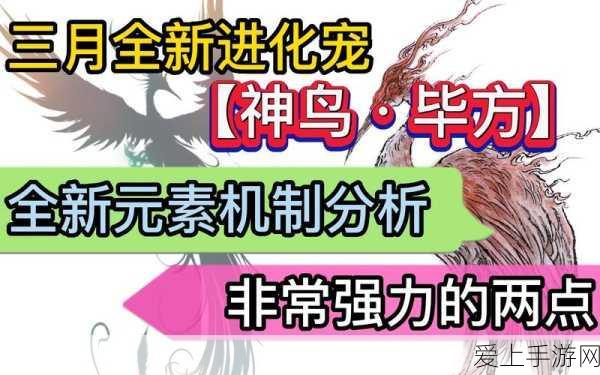 火影忍者手游，揭秘尾兽战场团本级别与战斗细节
