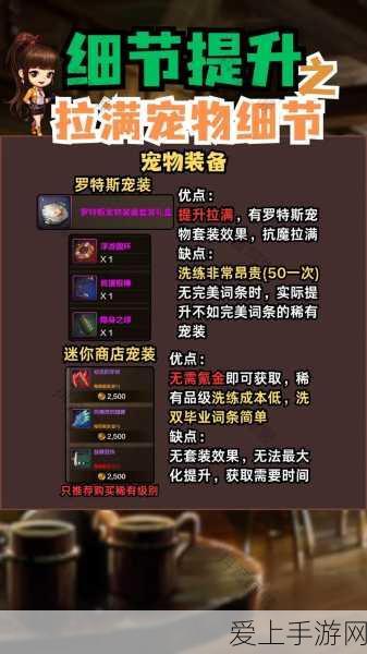 DNF 宠物攻击力加成大揭秘,你选对了吗?