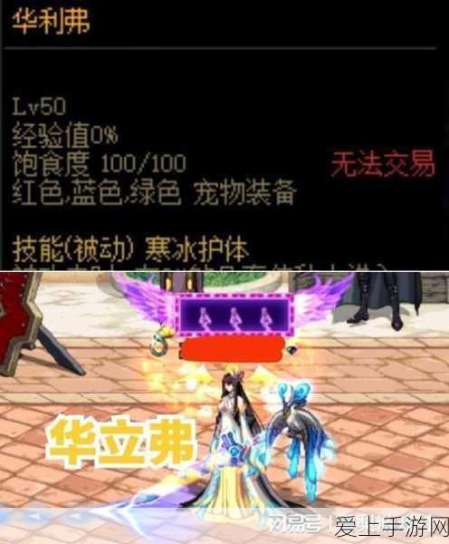 崩坏3深度攻略，揭秘无限深渊的进入之道与实战技巧