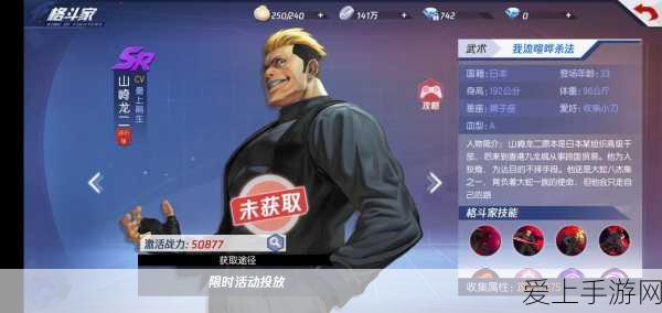 手游攻略，创造与魔法35级后高效升级秘籍大公开