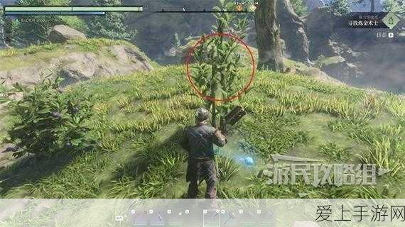 和平精英更新揭秘，为何新模式缺席？玩家热议背后的真相